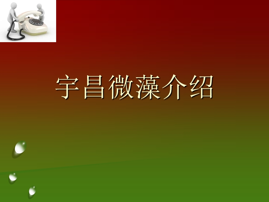 螺旋藻知识讲解.ppt_第1页