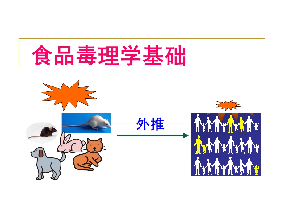 食品毒理学基础教学课件PPT.ppt_第1页