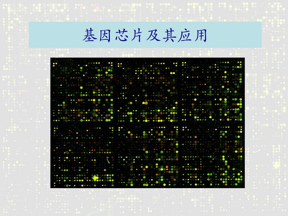 基因芯片.ppt.ppt_第1页