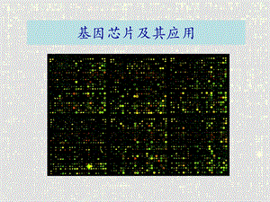 基因芯片.ppt.ppt