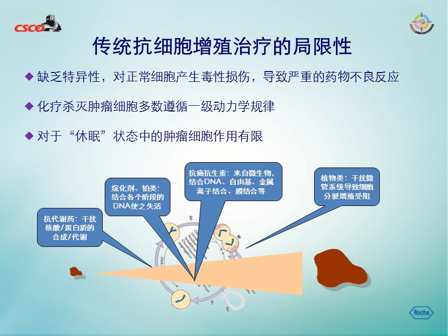 抗血管生成药物研发历程和临床应用.ppt_第3页