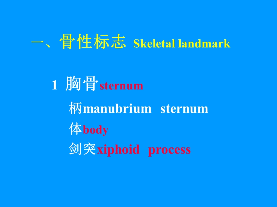 【临床医学】胸部检查1.ppt_第3页