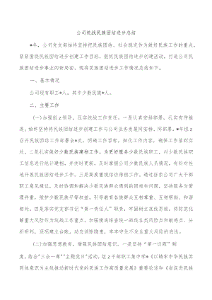 公司统战民族团结进步总结.docx