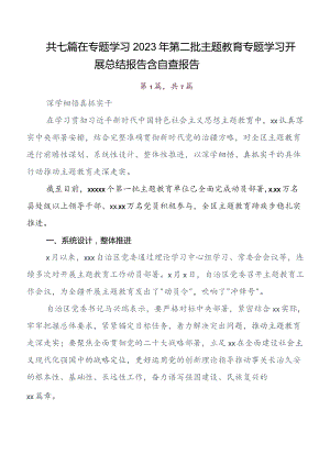 （七篇）集体学习2023年度第二阶段集中教育专题学习开展总结报告内含自查报告.docx