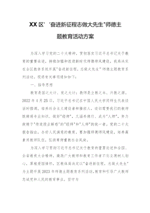 XX区 “奋进新征程 志做大先生”师德主题教育活动方案.docx