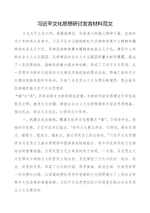 x文化思想研讨发言材料心得体会.docx