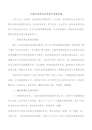 乡镇全面深化改革考评自检自查.docx