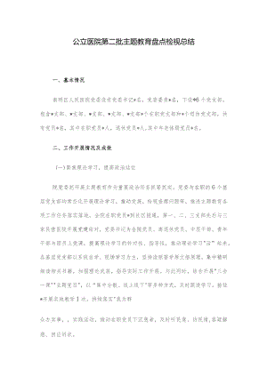 公立医院第二批主题教育盘点检视总结.docx