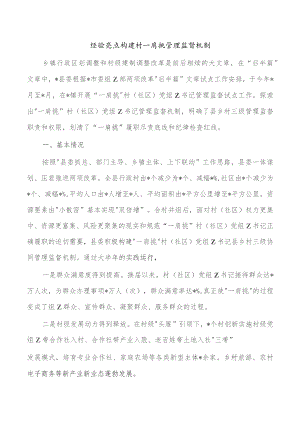 经验亮点构建村一肩挑管理监督机制.docx