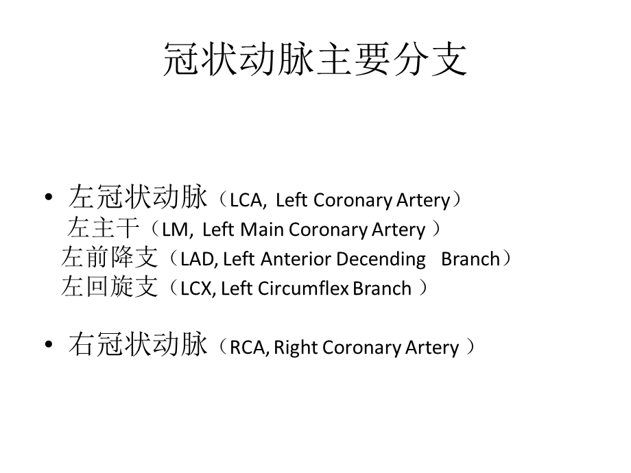 冠脉造影报告正确书写.ppt_第3页