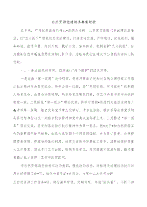 自然资源党建做法典型经验.docx