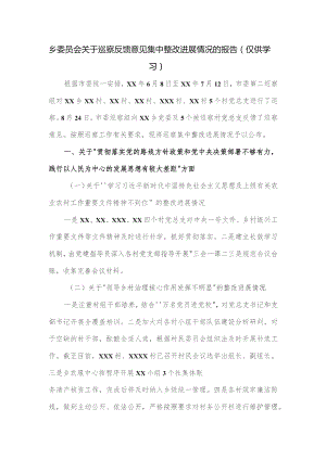 乡委员会关于巡察反馈意见集中整改进展情况的报告.docx