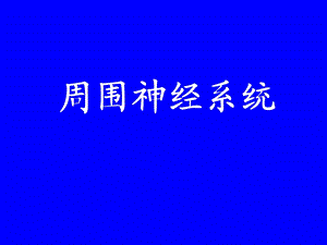 周围神经系统解剖.ppt