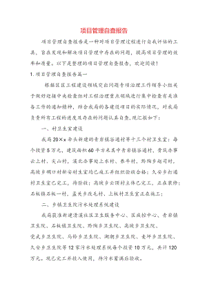 项目管理自查报告.docx