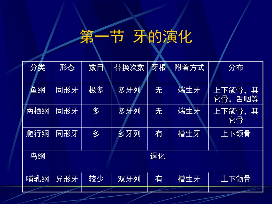 牙体解剖生理.ppt.ppt_第3页