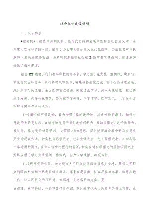 社会组织建设调研.docx