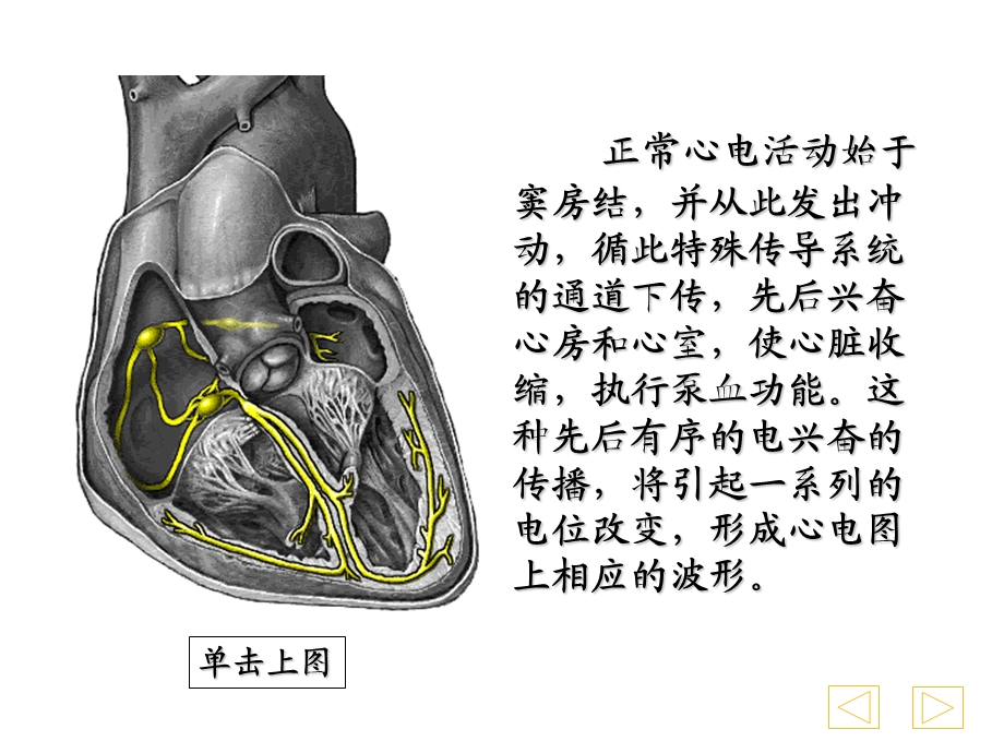 如何学习心电图诊断.ppt_第2页