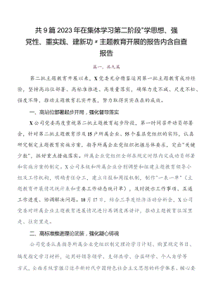 （9篇）深入学习第二批专题教育专题学习总结汇报、自查报告.docx