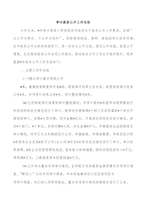 审计政务公开工作总结.docx