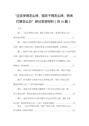 “过去学得怎么样、现在干得怎么样、将来打算怎么办”研讨发言材料16篇（精编版）.docx