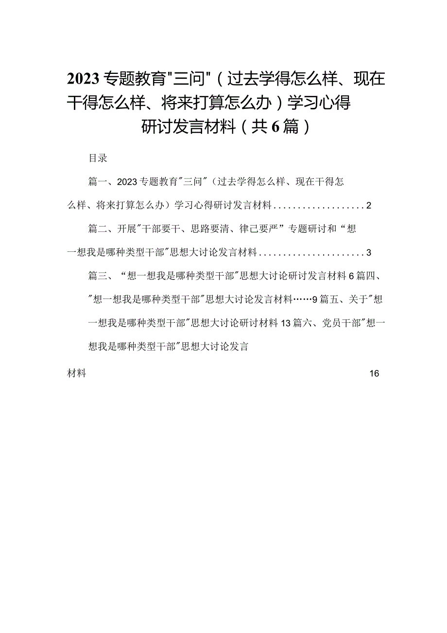 专题教育“三问”（过去学得怎么样、现在干得怎么样、将来打算怎么办）学习心得研讨发言材料六篇(最新精选).docx_第1页