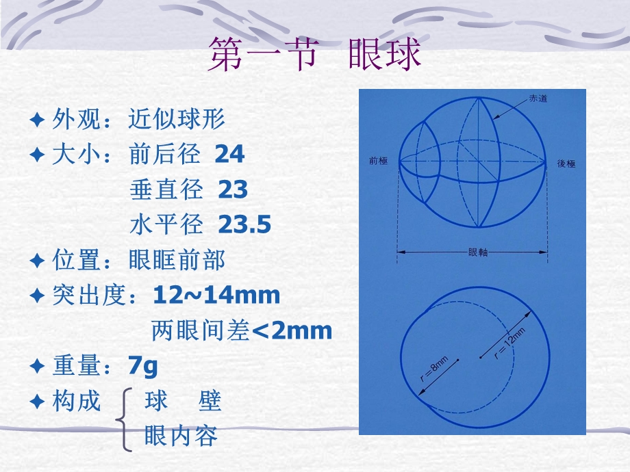 眼的解剖与组织学ppt.ppt_第3页