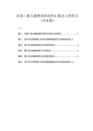 在第二批专题阶段性汇报会上的发言范文精选(6篇).docx