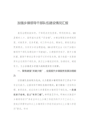 加强乡镇领导干部队伍建设情况汇报.docx