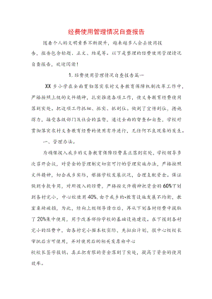 经费使用管理情况自查报告.docx