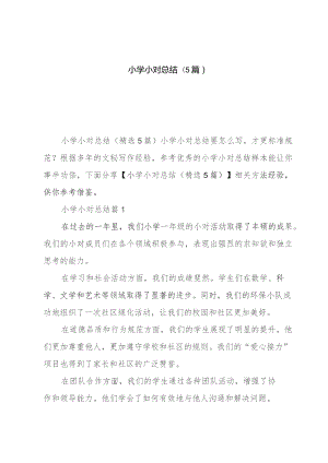 小学小对总结(5篇).docx