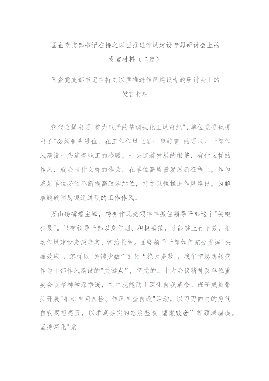 国企党支部书记在持之以恒推进作风建设专题研讨会上的发言材料(二篇).docx_第1页