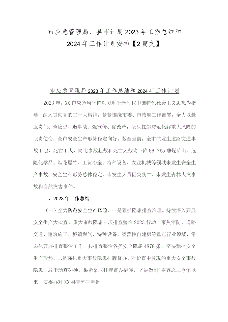 市应急管理局、县审计局2023年工作总结和2024年工作计划安排【2篇文】.docx_第1页