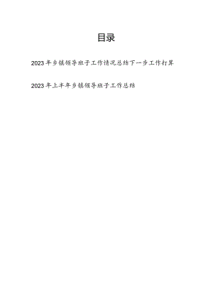 2023-2024年乡镇领导班子工作情况总结下一步工作打算.docx