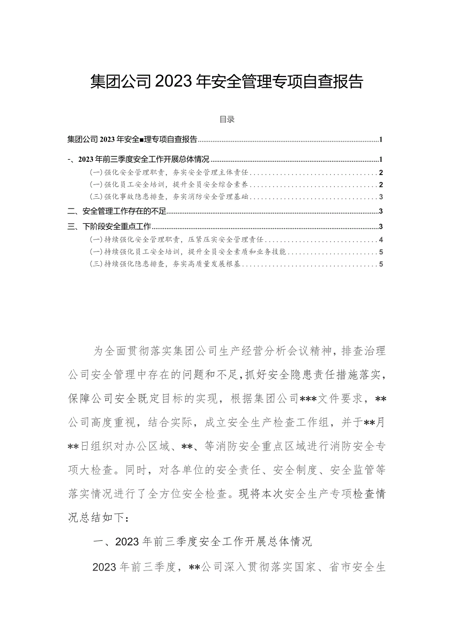 集团公司2023年安全管理专项自查报告.docx_第1页