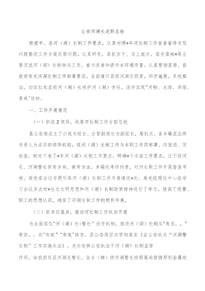 公安河湖长述职总结.docx