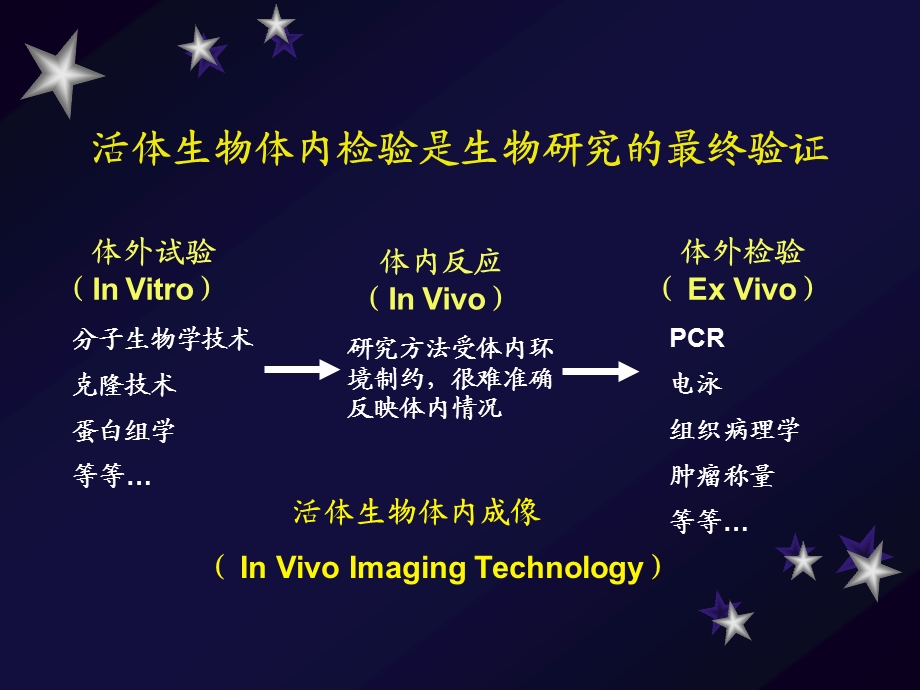 活体成像..ppt_第2页