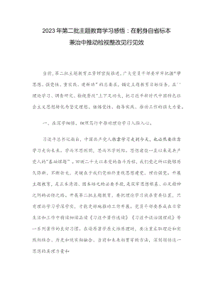 2023年第二批主题教育学习感悟：在躬身自省 标本兼治中推动检视整改见行见效.docx