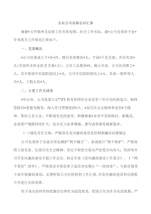 企业公司巡察总结汇报.docx