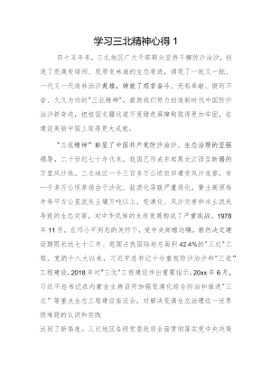 学习三北精神心得2篇.docx