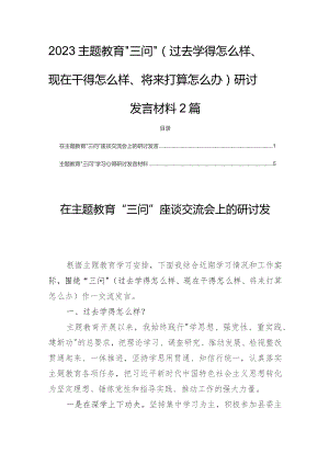 2023主题教育“三问”（过去学得怎么样、现在干得怎么样、将来打算怎么办）研讨发言材料2篇.docx