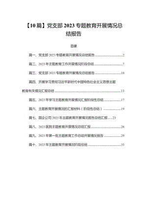 【10篇】党支部2023专题教育开展情况总结报告.docx