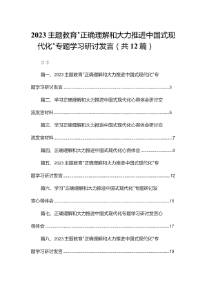 “正确理解和大力推进中国式现代化”专题学习研讨发言12篇供参考.docx