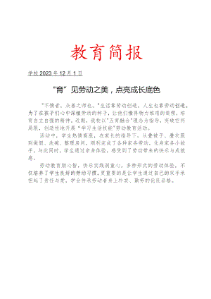 开展劳动教育系列活动工作简报.docx