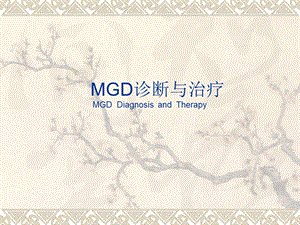 MGD诊断与治疗.ppt