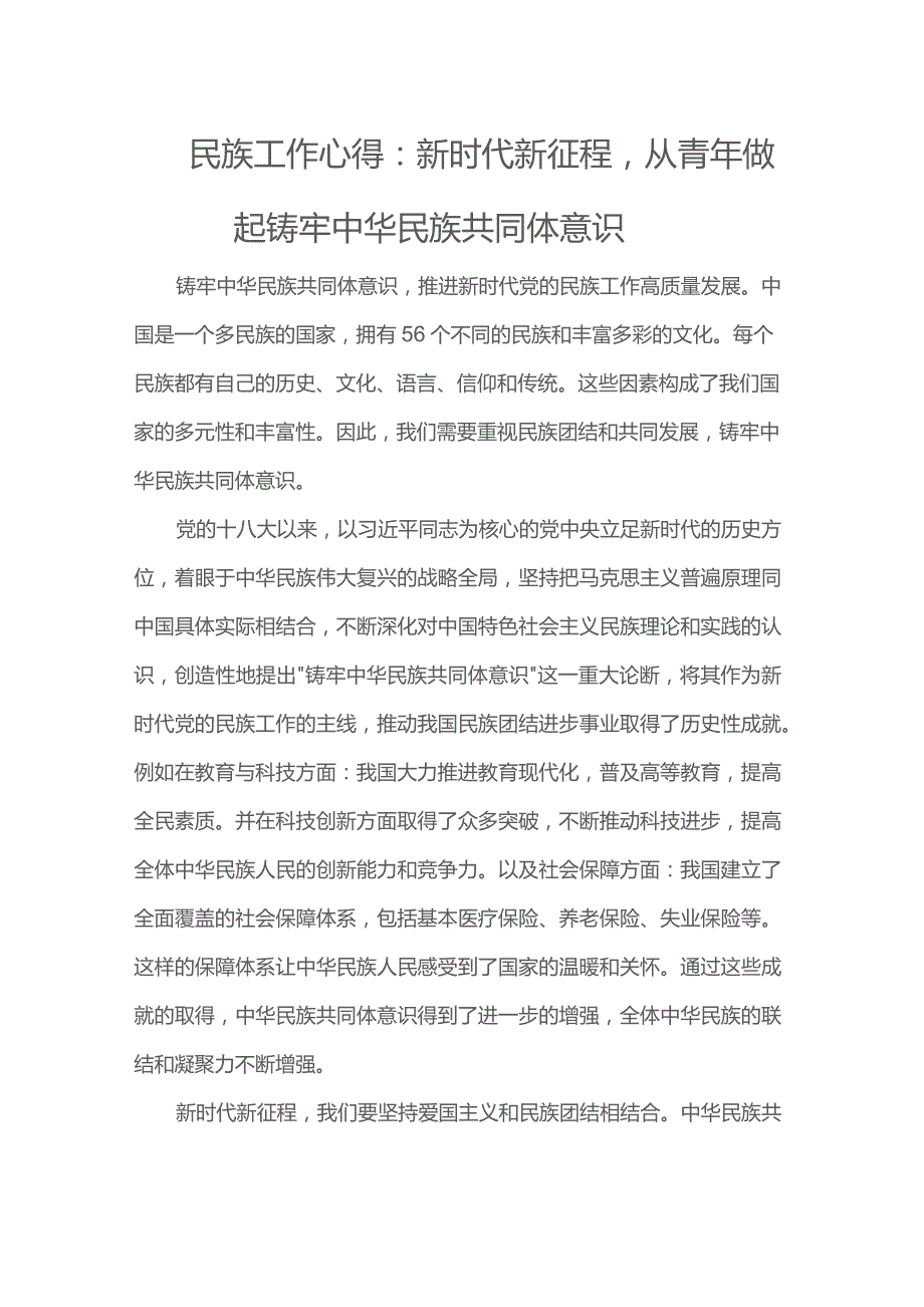 民族工作心得：新时代新征程从青年做起铸牢中华民族共同体意识.docx