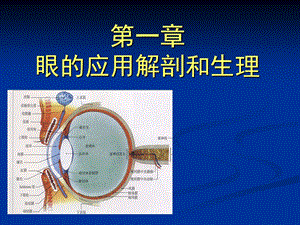 眼的应用解剖生理.ppt