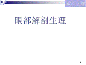 眼部解剖生理.ppt