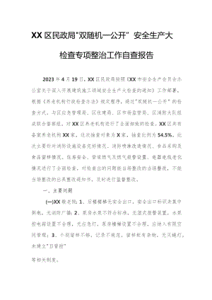 XX区民政局“双随机一公开”安全生产大检查专项整治工作自查报告.docx