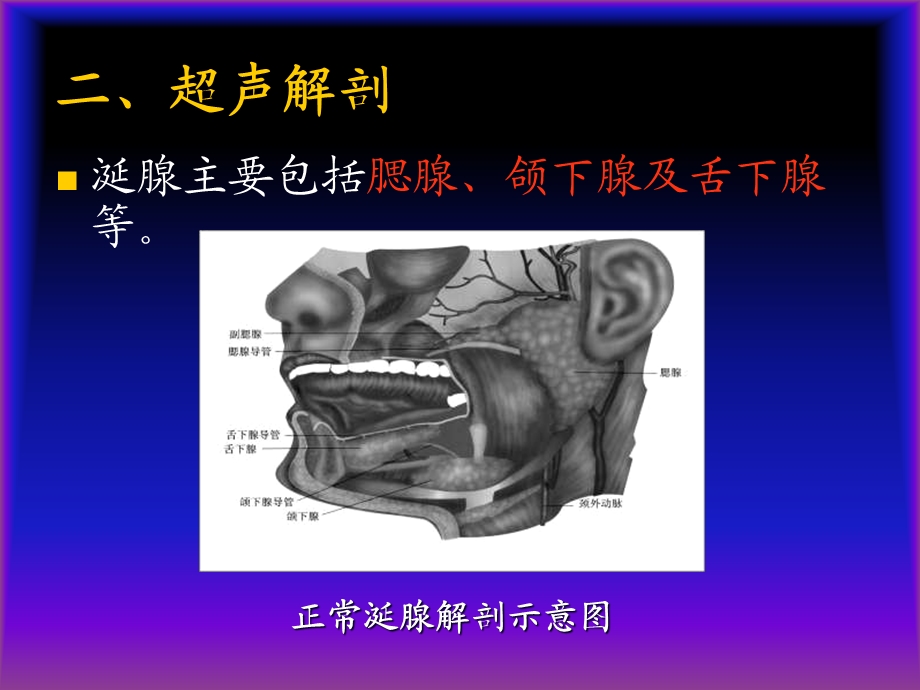 医学超声影像学涎腺及淋巴结超声诊断.ppt_第3页