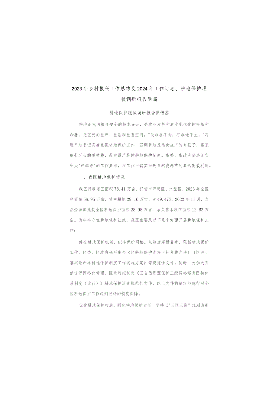 2023年乡村振兴工作总结及2024年工作计划、耕地保护现状调研报告两篇.docx_第1页